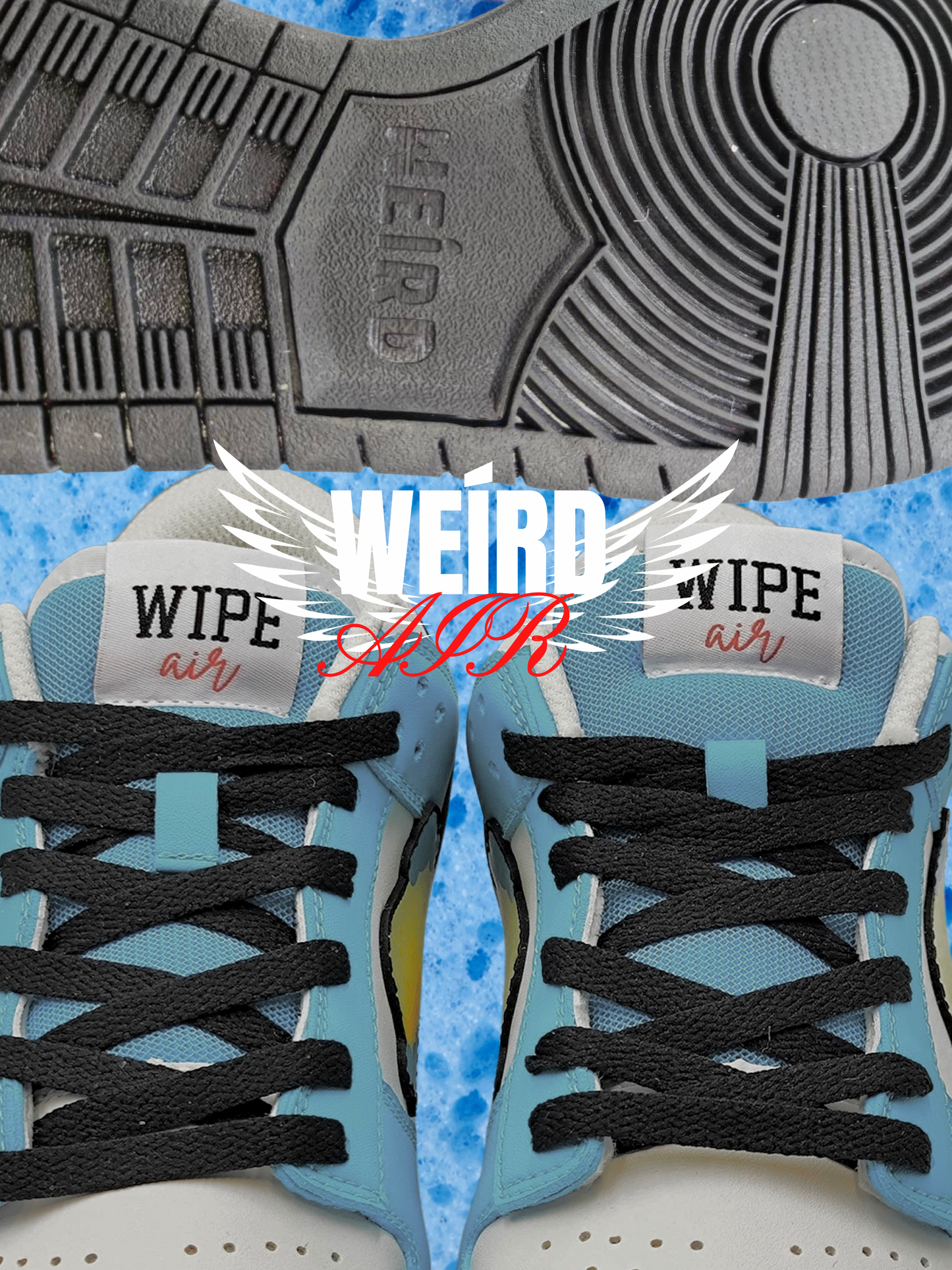 The WEIRD DUNKS : WIPE it DOWN Lo